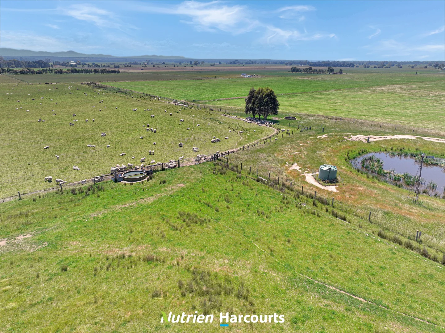 Additional image 15 of 480 Toongabbie-Cowwarr Road, Cowwarr VIC 3857