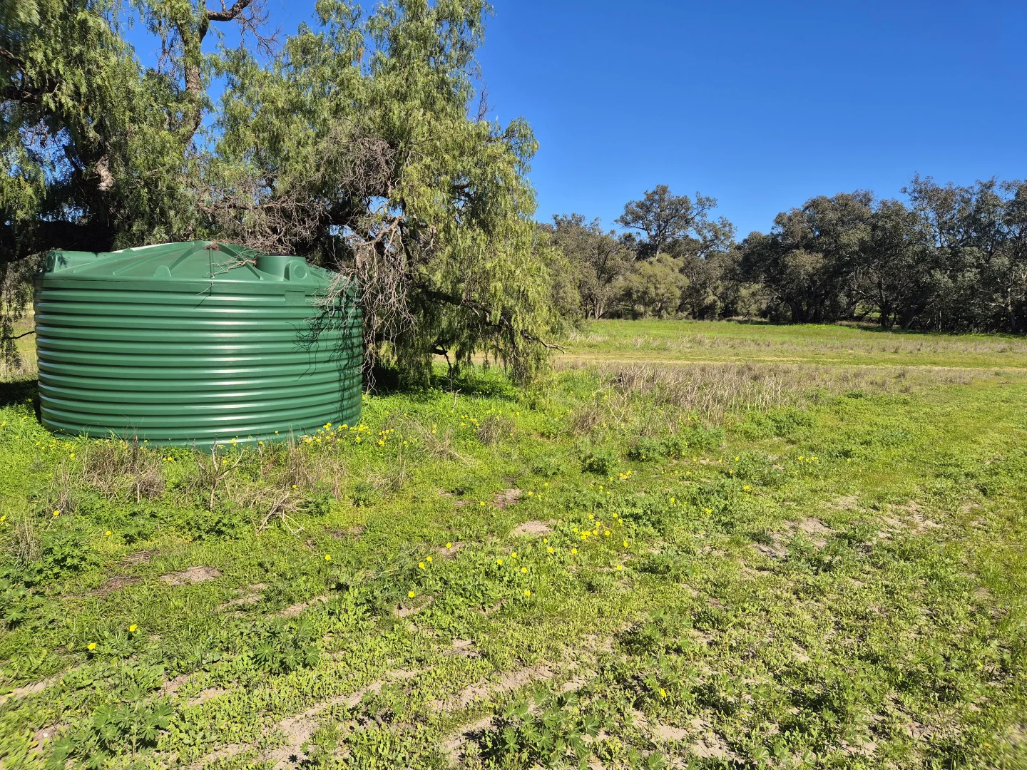 Additional image 7 of 190 Flourmill Cove, Cowalla WA 6503