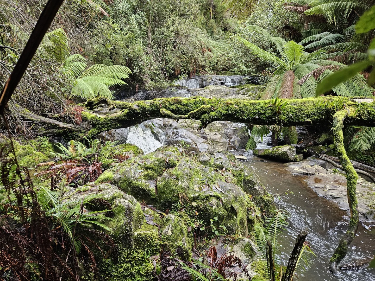 Additional image 6 of Grand Ridge VIC 3870