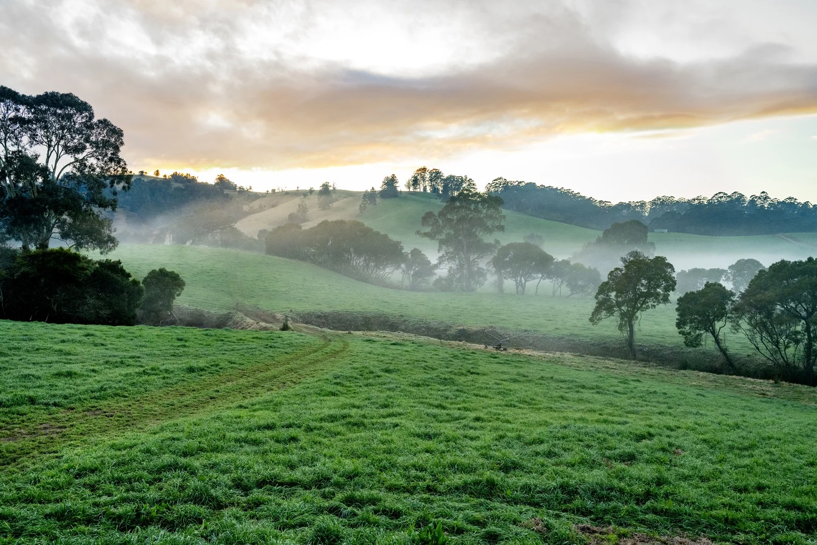 Additional image 2 of 1431 Coramba Road, Dorrigo NSW 2453