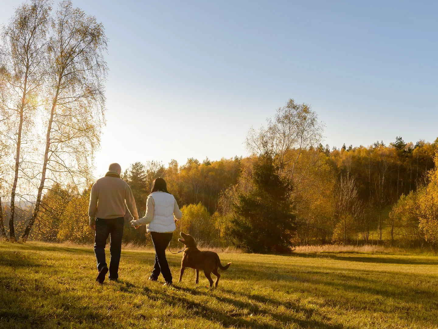 Additional image 12 of 141 Yarrawa Road, Moss Vale NSW 2577