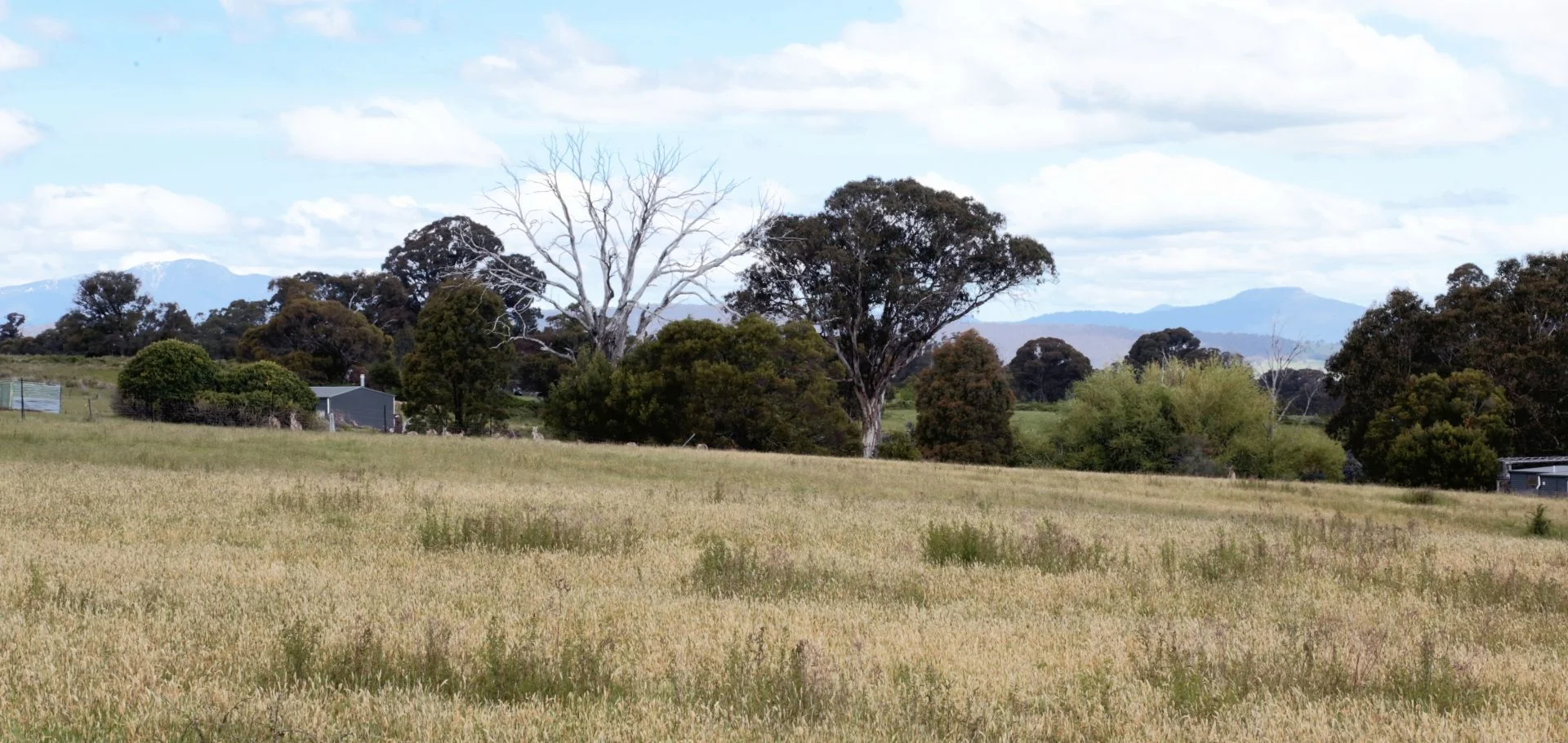 Additional image 4 of 33 Ambrose Drive, Tolmie VIC 3723