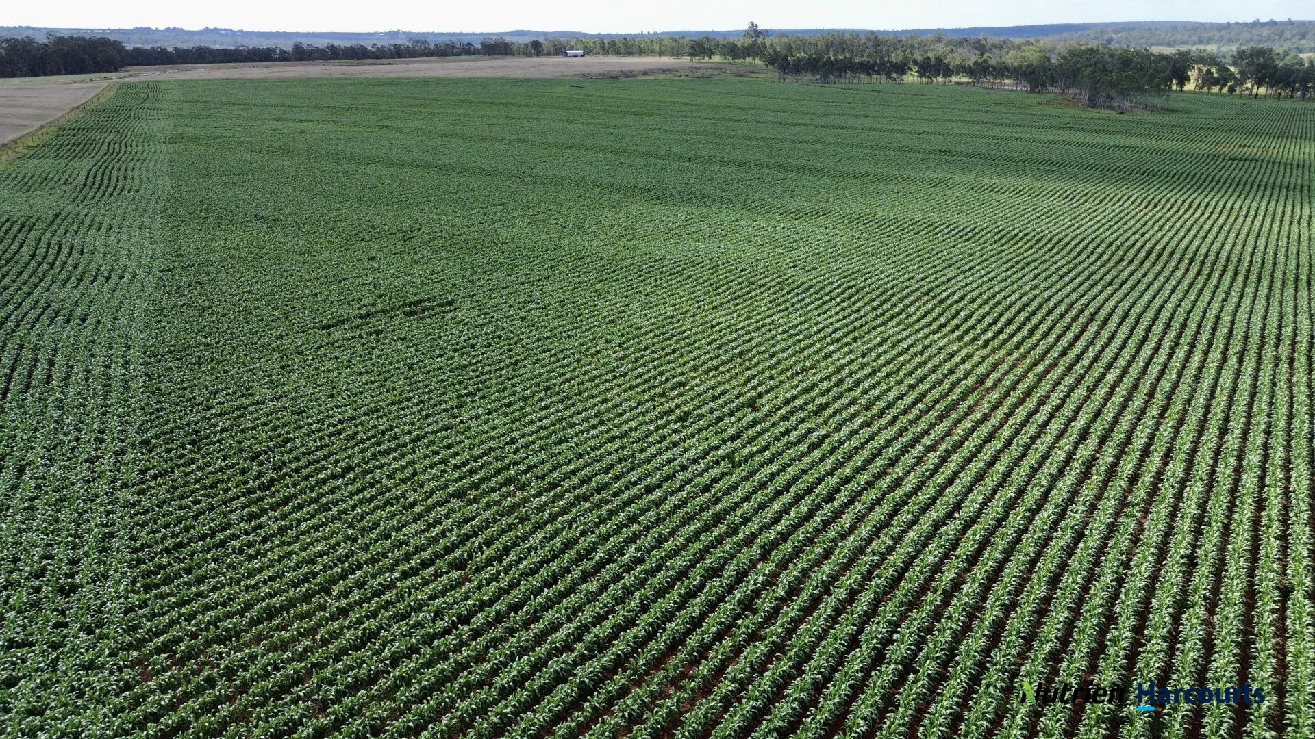 Additional image 4 of Lot 2 Reedy Creek Road, Benair QLD 4610