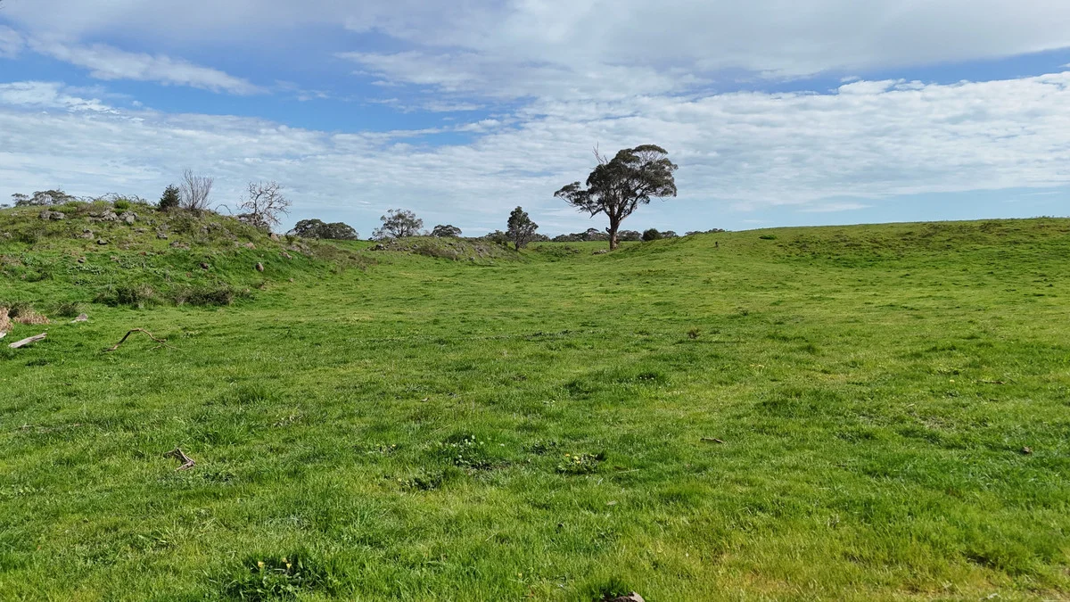 Additional image 22 of 250 Scoullers Road, Stonyford VIC 3260