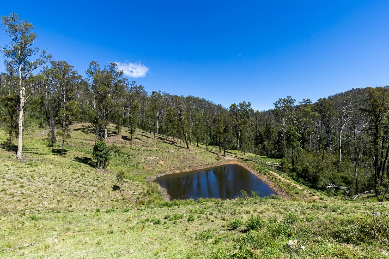 Additional image 22 of Lot 110 New Station Creek Road, Wyndham NSW 2550