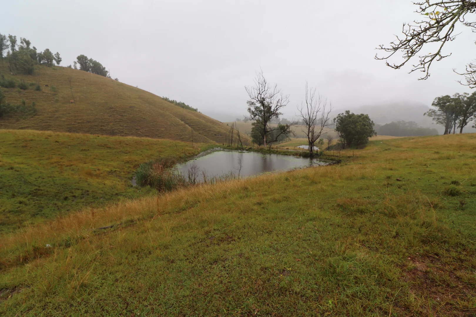 Additional image 5 of 8282 Armidale Road, Lower Creek NSW 2440