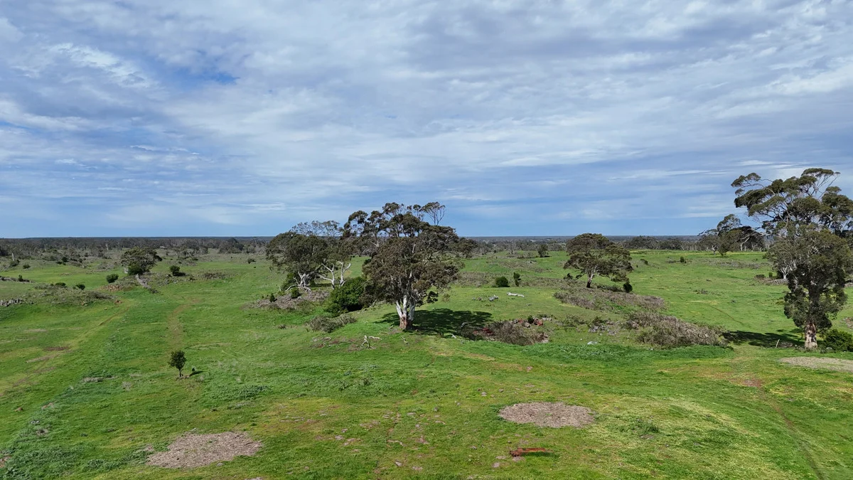 Additional image 6 of 250 Scoullers Road, Stonyford VIC 3260