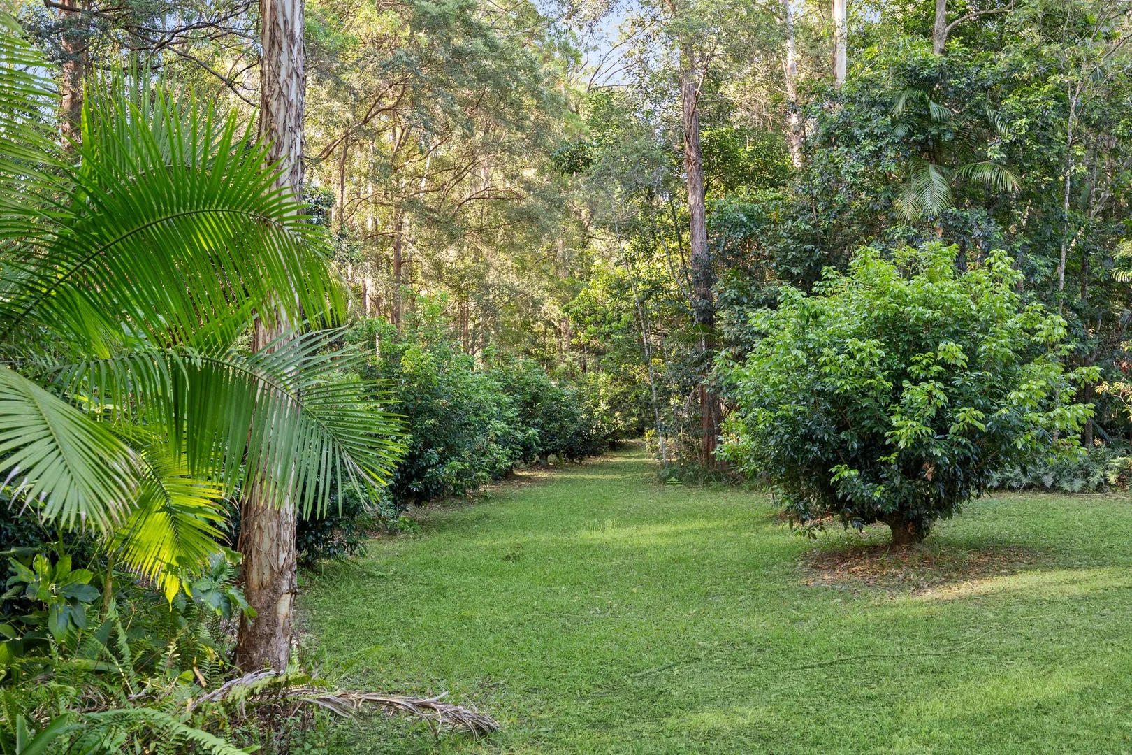 Additional image 19 of 97 Main Creek Road, Tanawha QLD 4556