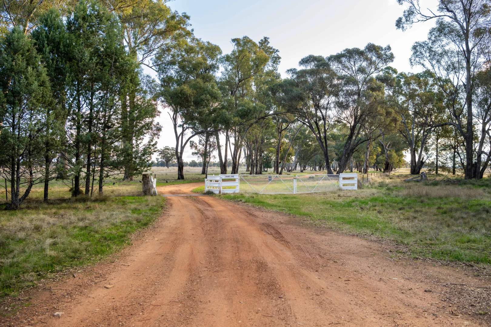 Additional image 32 of 1843 Yeo Yeo Hampstead Road, Young NSW 2594