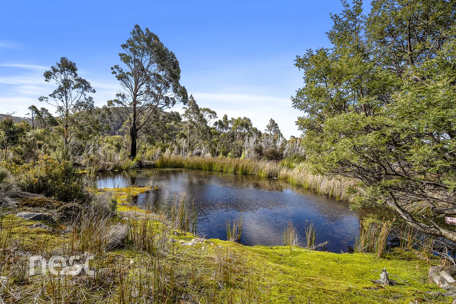 Additional image 21 of 1000 Van Morey Road, Margate TAS 7054