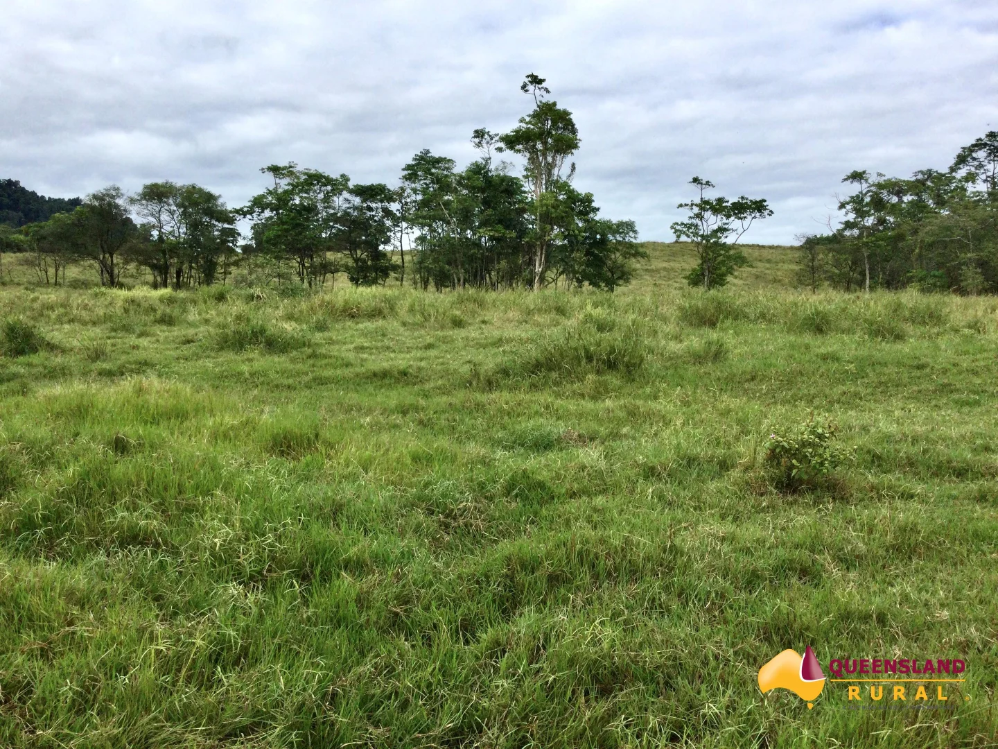 Additional image 8 of Bombeeta QLD 4871