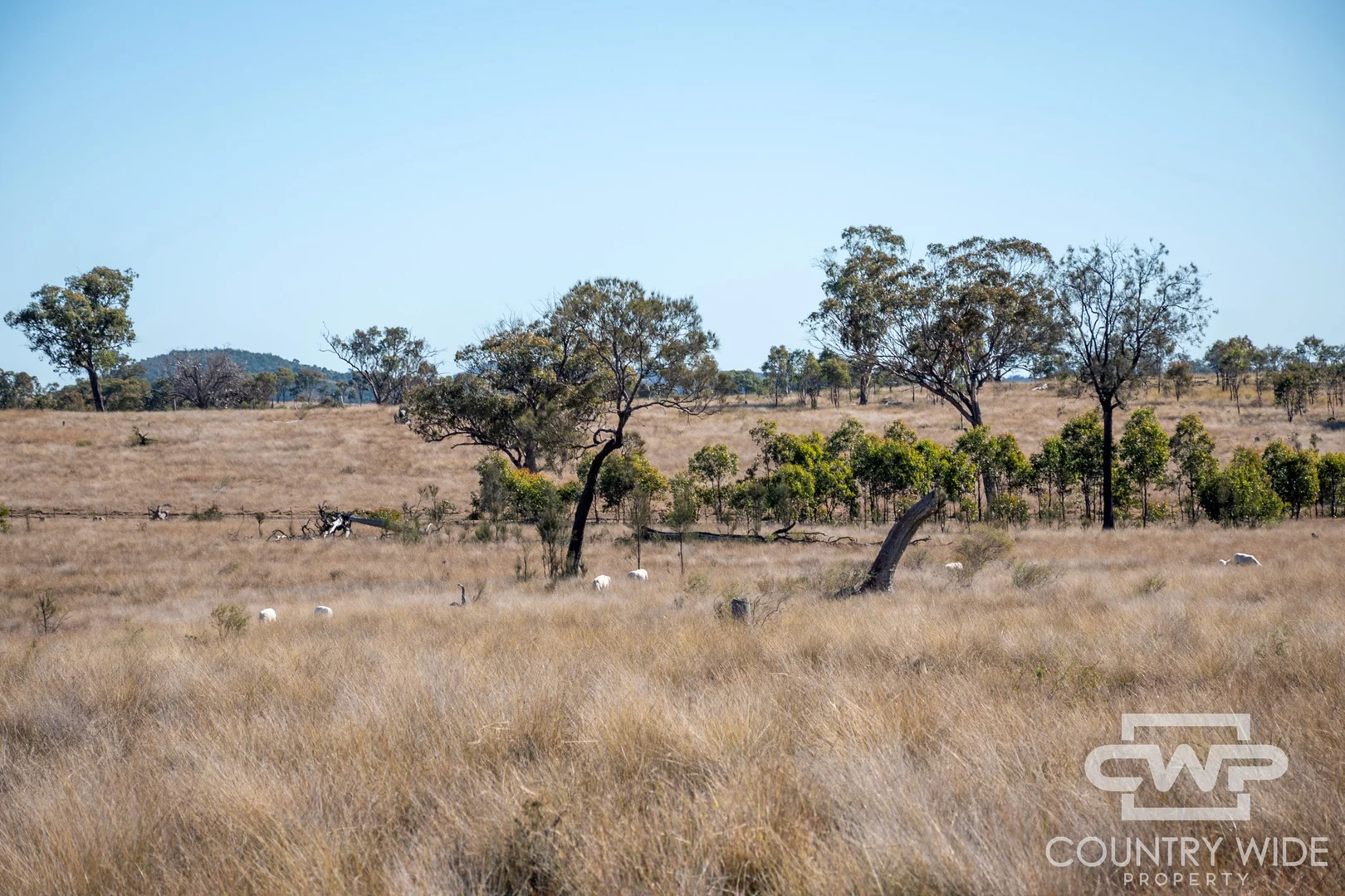 Additional image 2 of 11, 212 Mole Station Road, Tenterfield NSW 2372