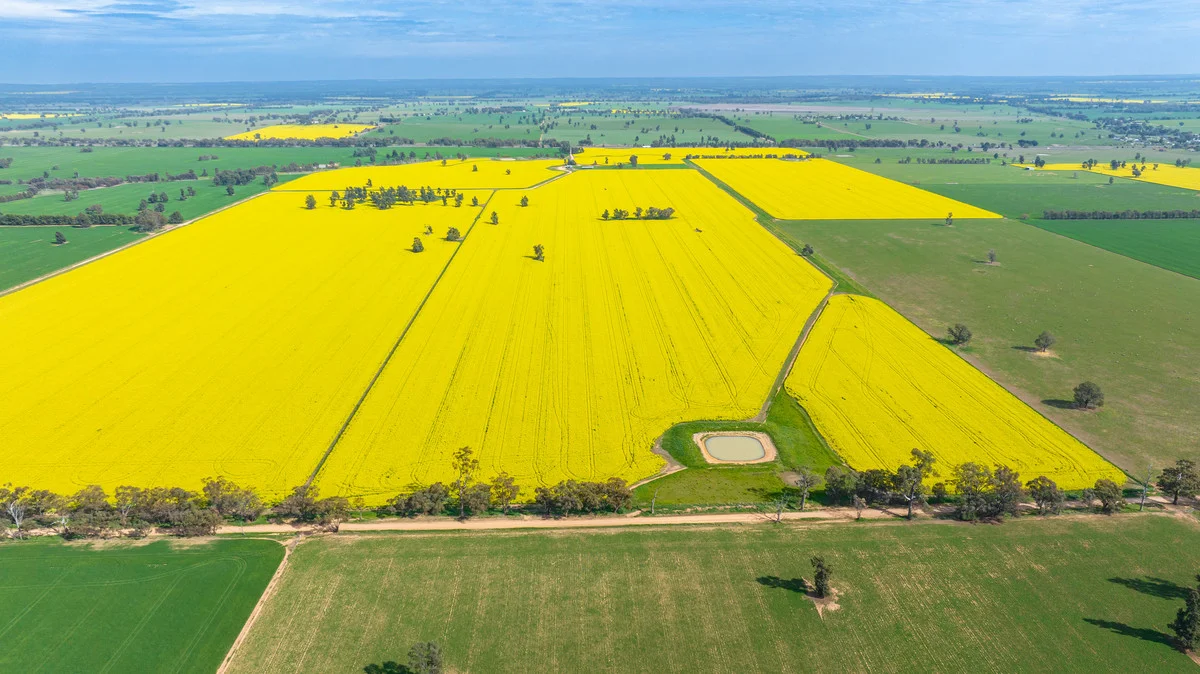 Additional image 5 of Olympic Highway, Yerong Creek NSW 2642
