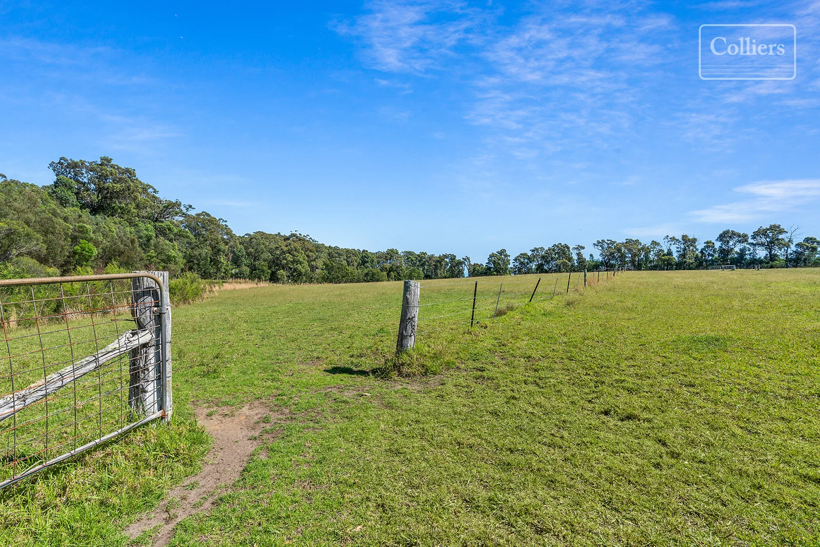 Additional image 4 of 227-229 Little Forest, Little Forest NSW 2538