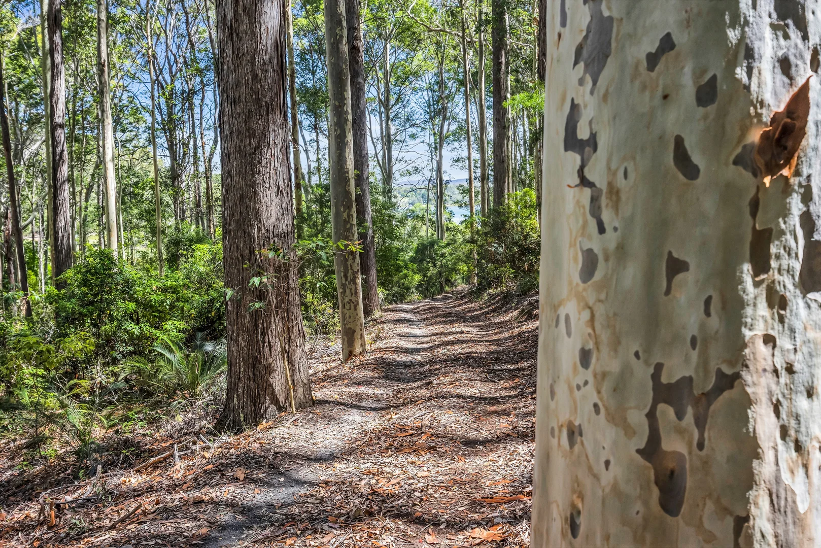 Additional image 13 of 209 Wapengo Lake Road, Wapengo NSW 2550