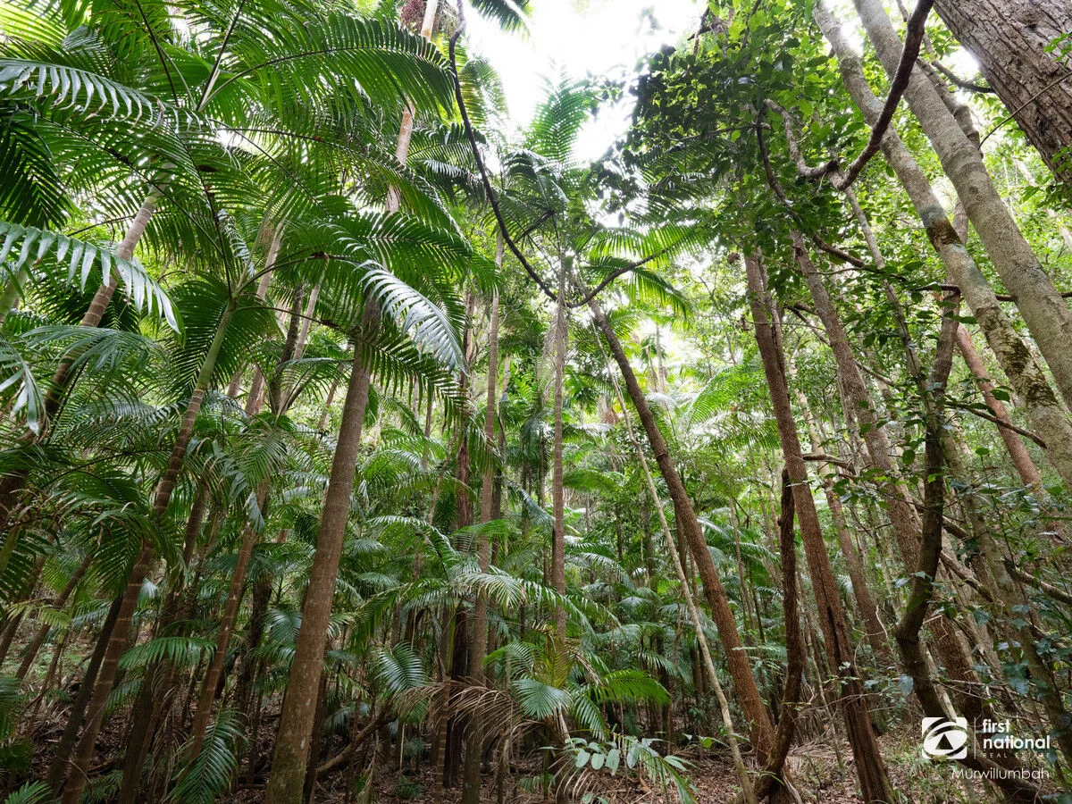 Additional image 9 of 563 Commissioners Creek Road, Commissioners Creek NSW 2484