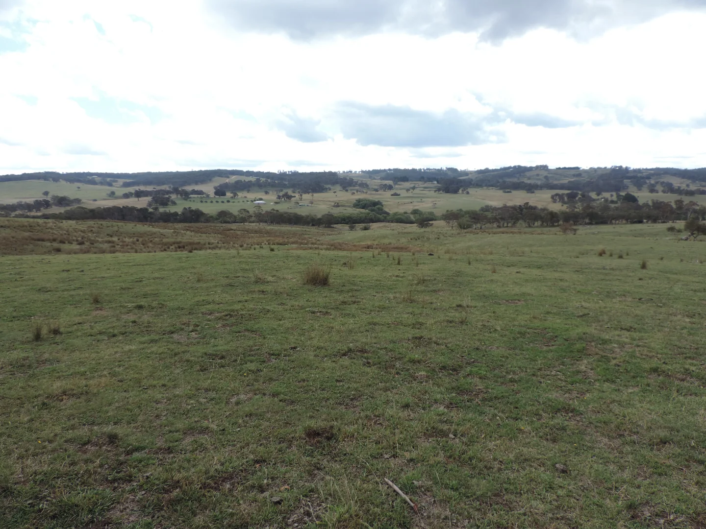 Additional image 16 of Lot 2 Golspie Road, Laggan NSW 2583