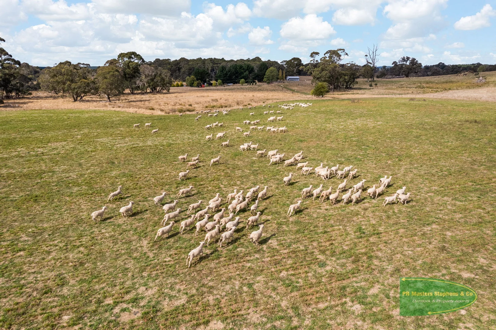 Additional image 37 of 800 Riverview Forest Road, Mozart NSW 2787