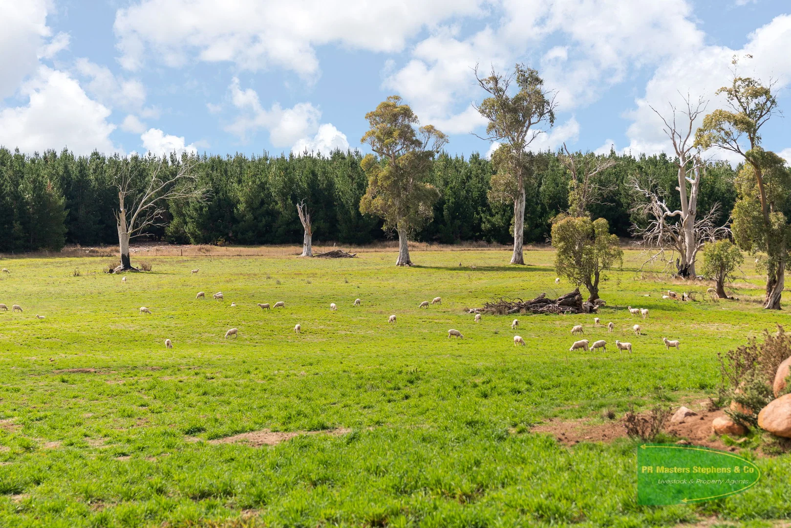 Additional image 8 of 800 Riverview Forest Road, Mozart NSW 2787