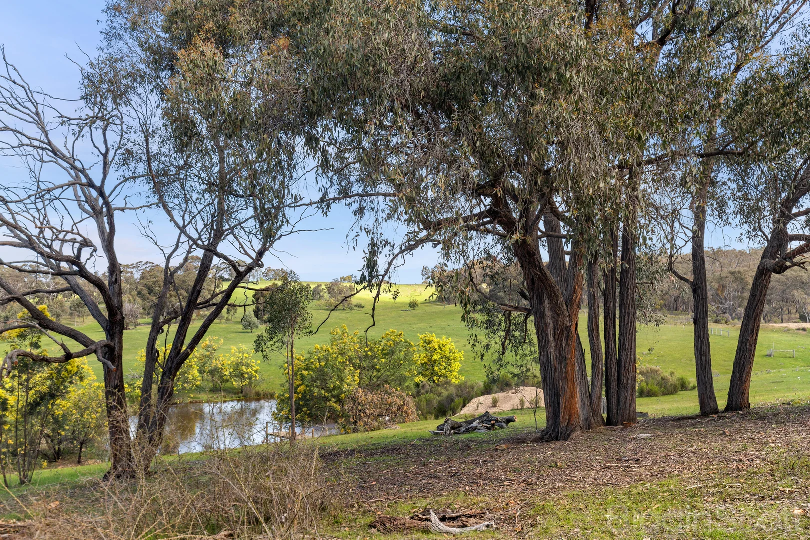 Additional image 19 of 595 Providence Gully Road, Yandoit Hills VIC 3461