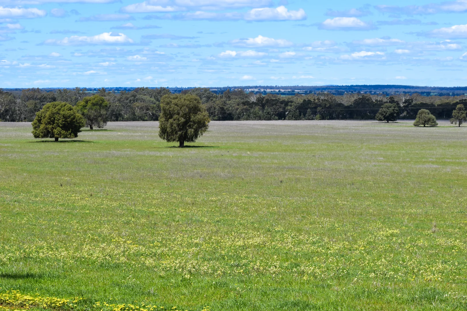 Additional image 3 of 120 Melrose Plains Road, Fifield NSW 2875