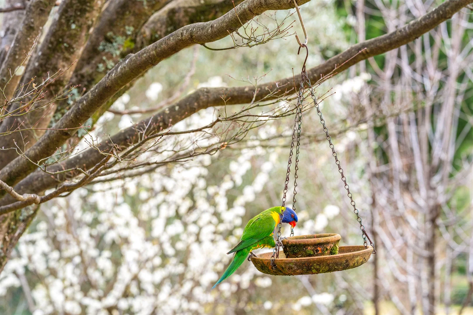 Additional image 17 of 11 Garland Road, Bundanoon NSW 2578