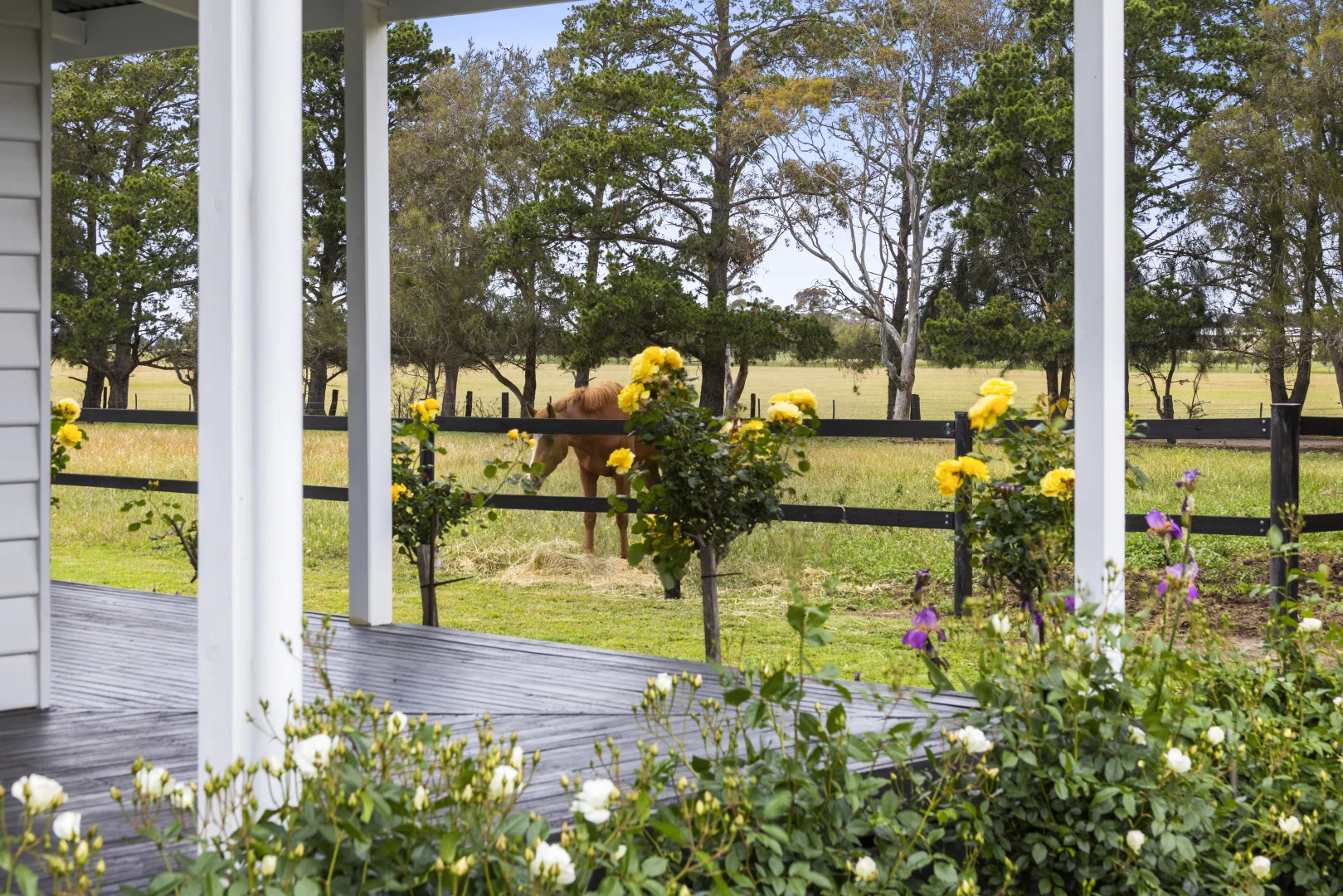 Additional image 37 of 2249 Midland Highway, Bannockburn VIC 3331