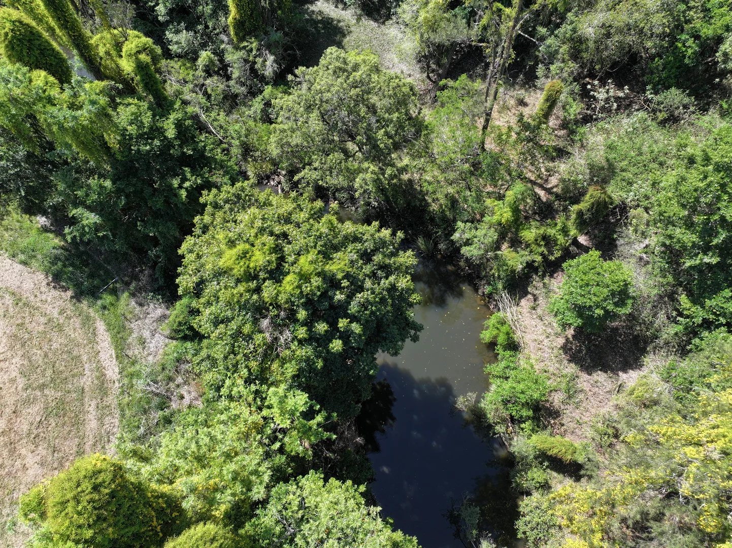 Additional image 6 of 1050 Afterlee Rd, Eden Creek NSW 2474