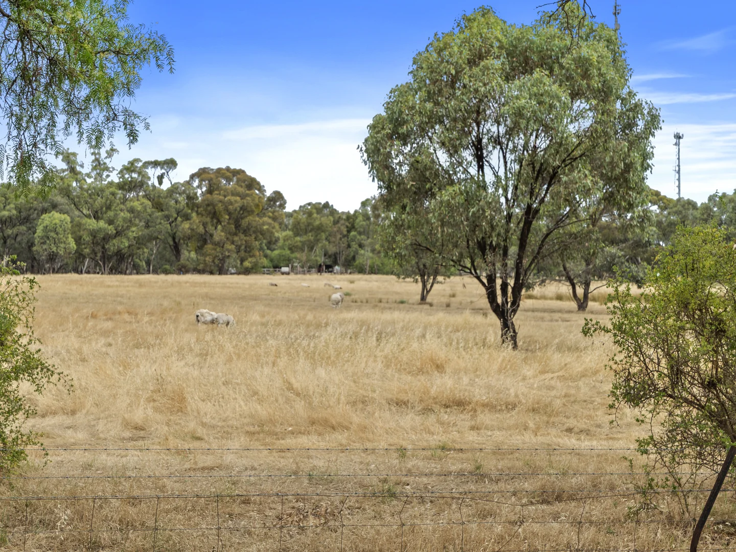 Additional image 3 of 1210 Picola - Barmah Road, Barmah VIC 3639
