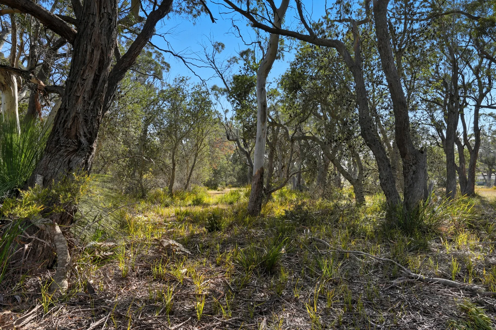Additional image 19 of 886 North Ansons Road, Gladstone TAS 7264