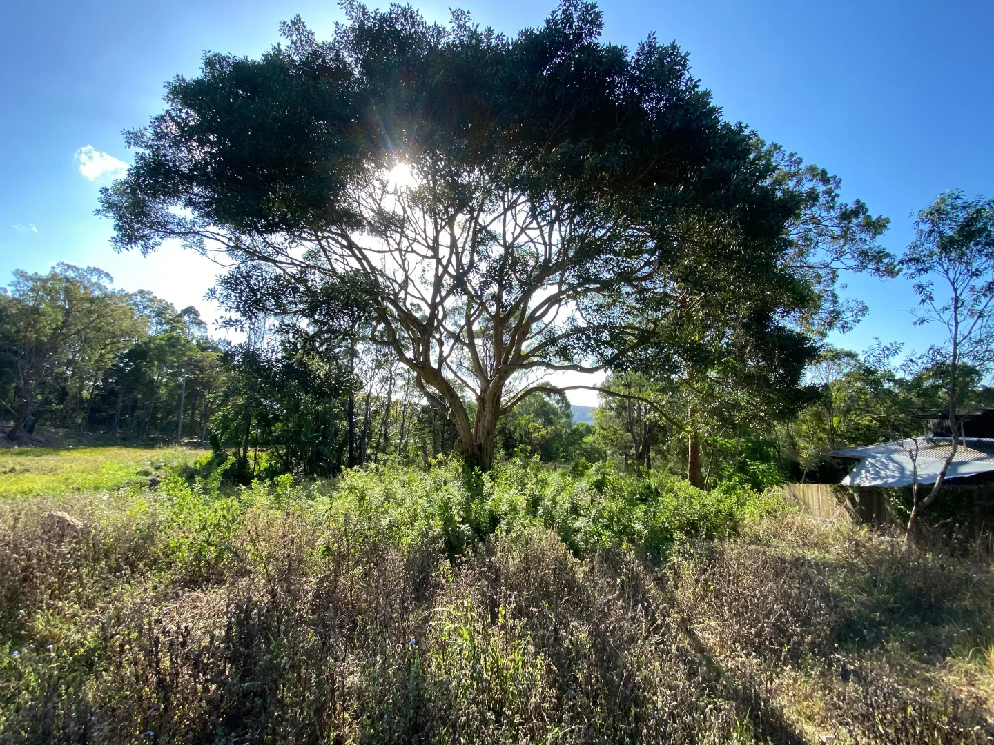 Additional image 5 of Maclean NSW 2463