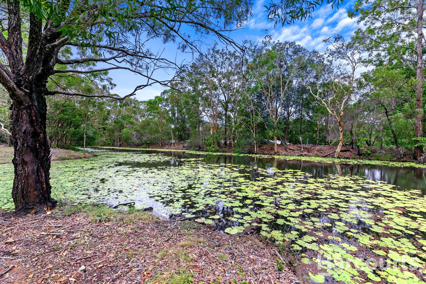 Additional image 22 of 54 Pindari Crescent, Sunshine Acres QLD 4655