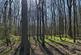 Needlewood Grove, Redditch, Worcestershire B48