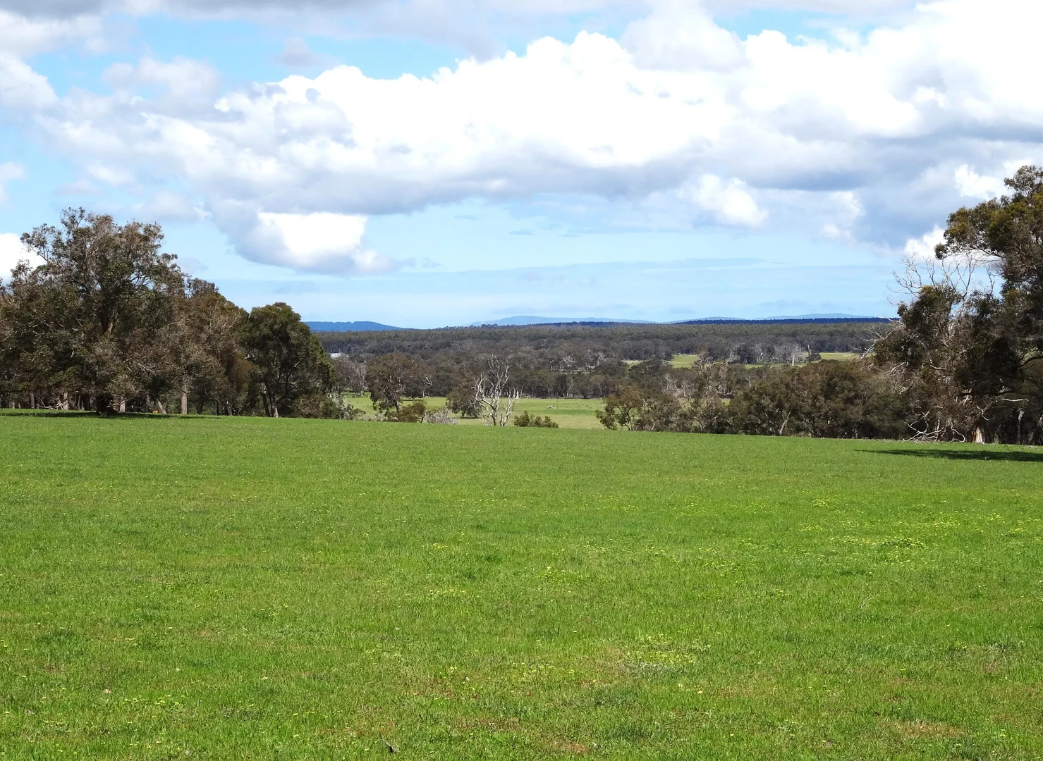 Additional image 23 of 2935 Chester Pass Road, Napier WA 6330