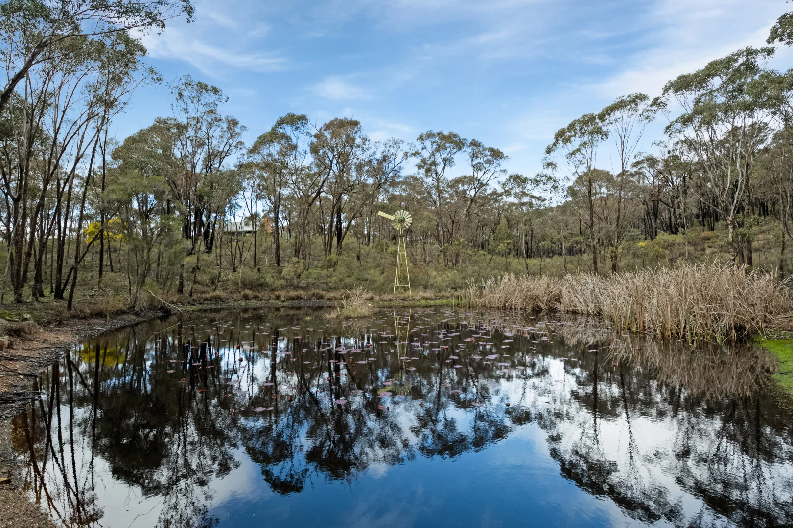 Additional image 13 of 156 Bradleys Lane, Heathcote VIC 3523