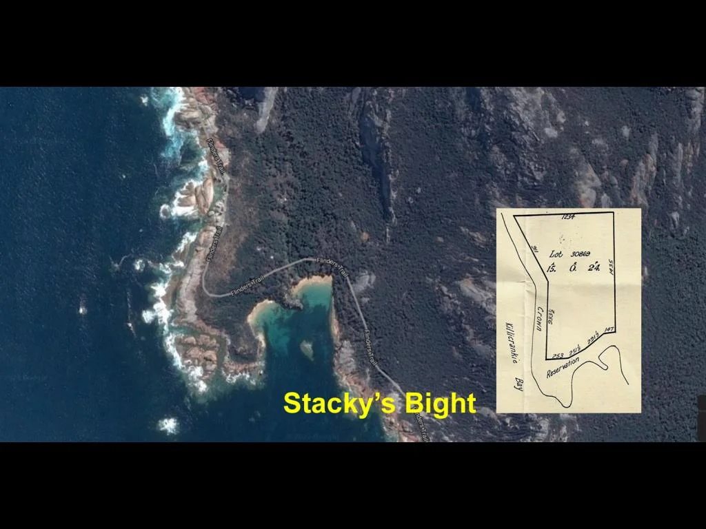 1 Palana Road, Killiecrankie TAS 7255