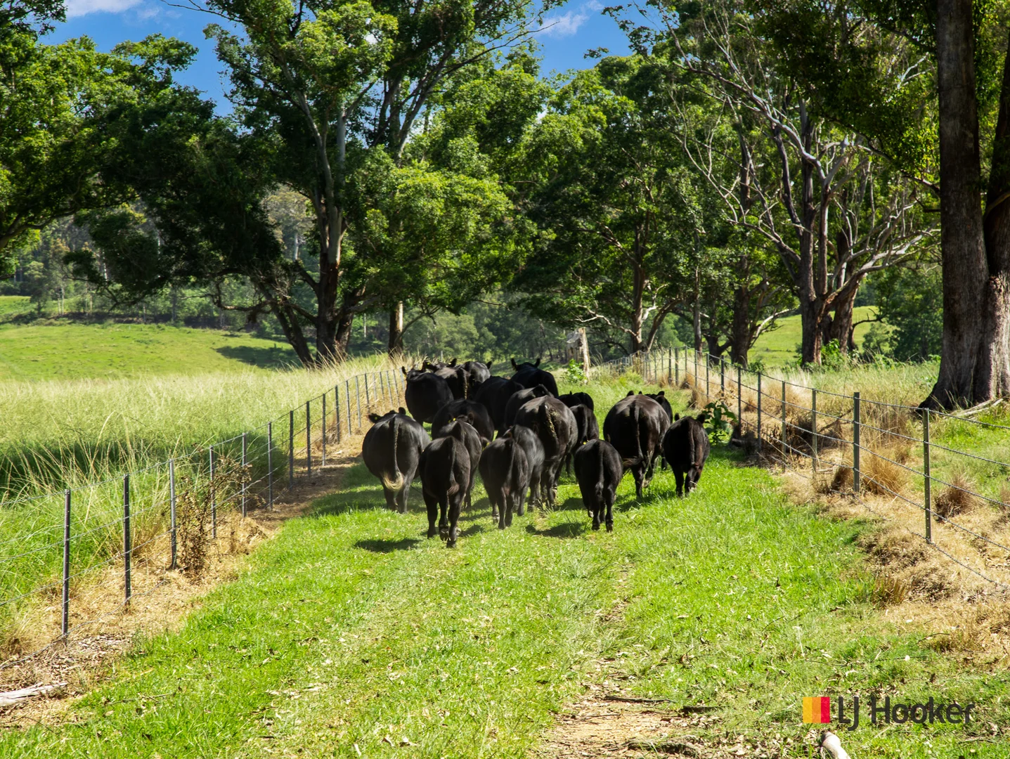 Additional image 23 of 953 The River Road, Currowan NSW 2536