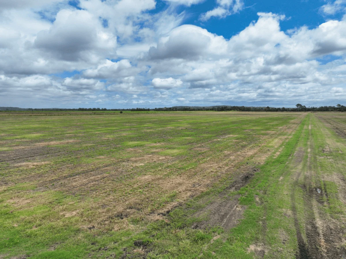 Additional image 8 of 360 Bungawalbin Whiporie Road, Bungawalbin NSW 2469