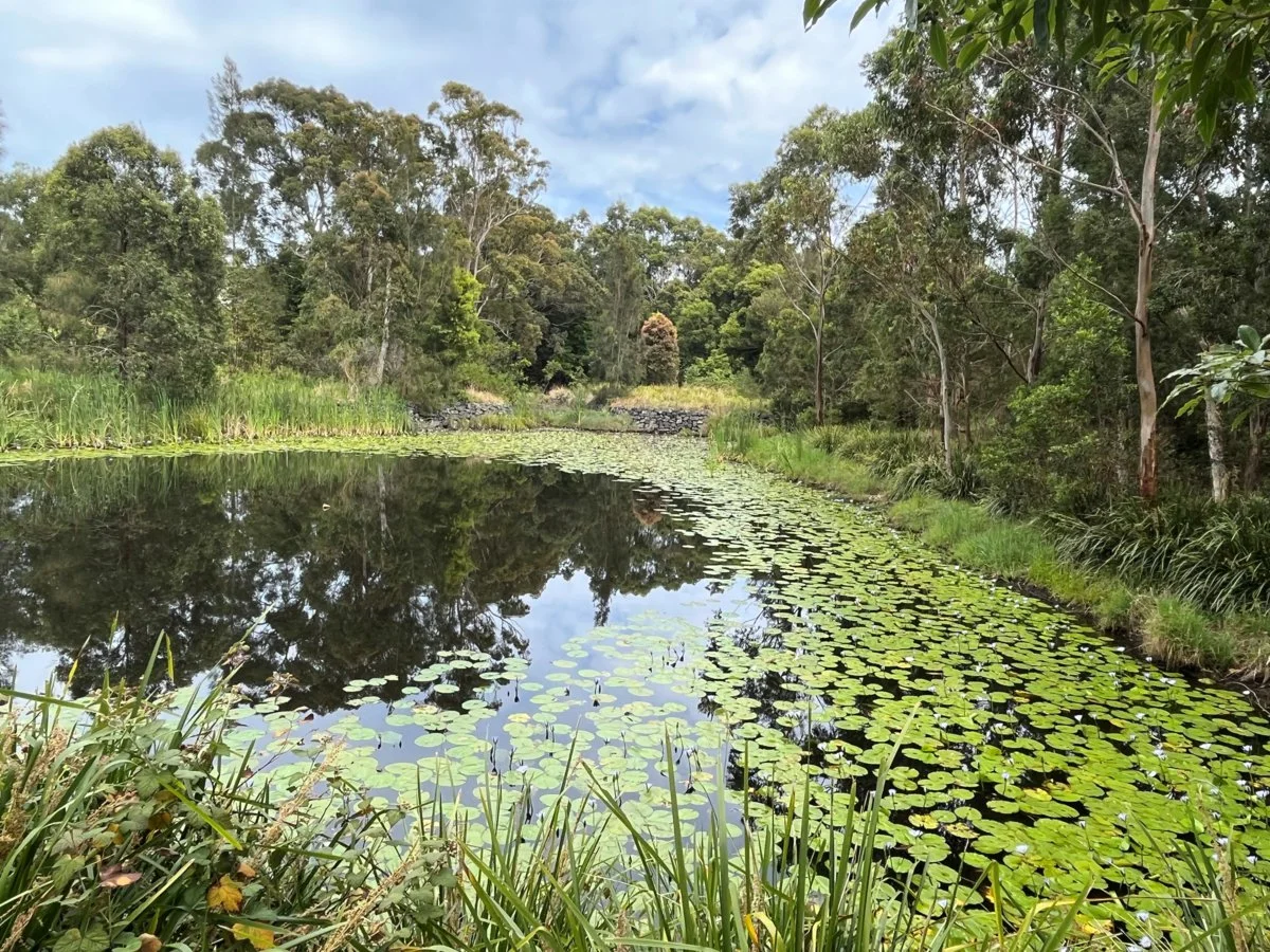 Additional image 3 of 38 Maslin Close, Red Head NSW 2430