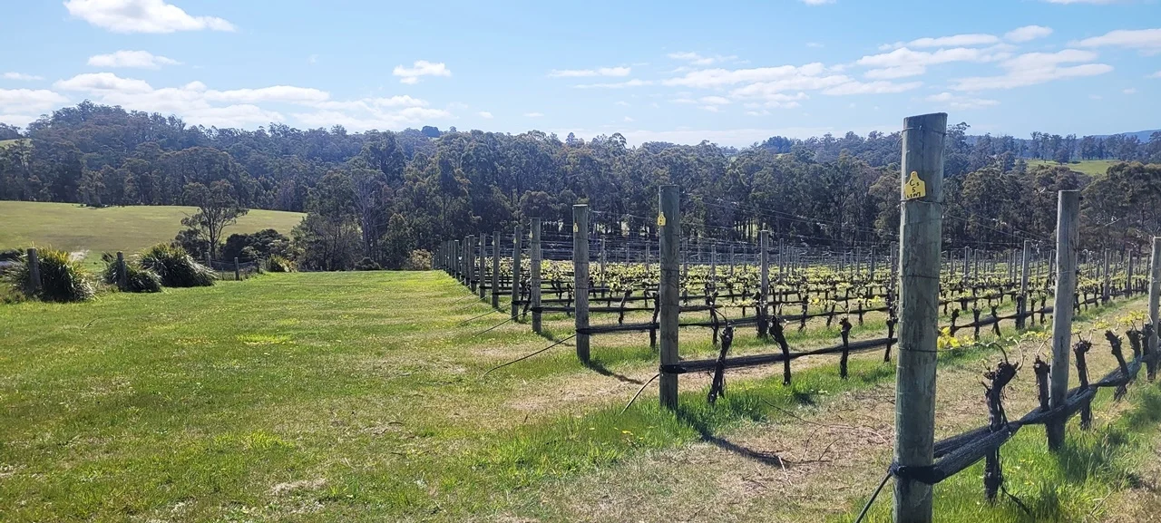 Additional image 25 of 150 Hjorts Road, Loira TAS 7275