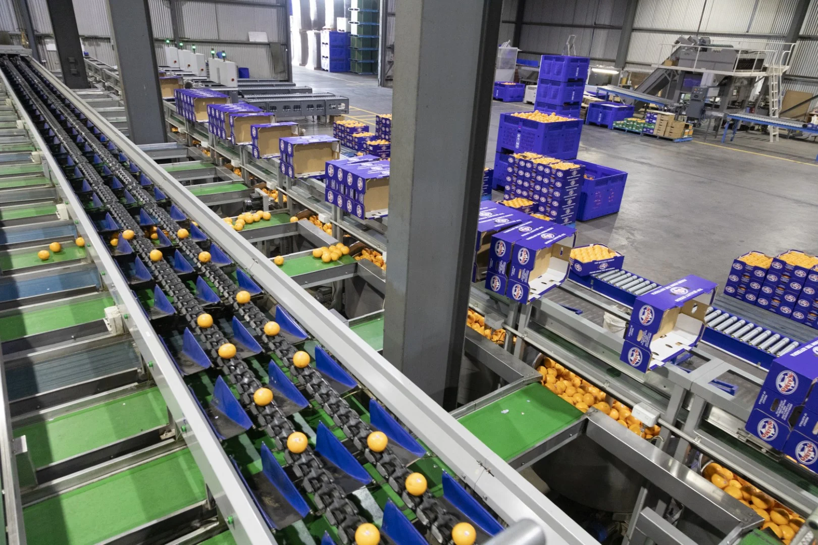 Additional image 11 of 203 Payten Road, Corbie Hill NSW 2705