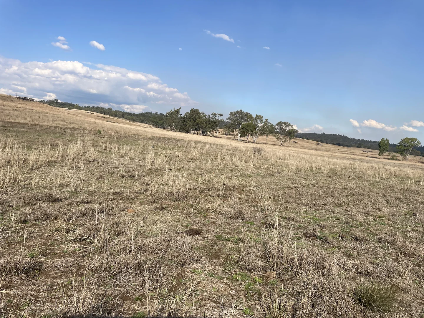 Additional image 7 of 95 Mount Perry Road, Tellebang QLD 4630