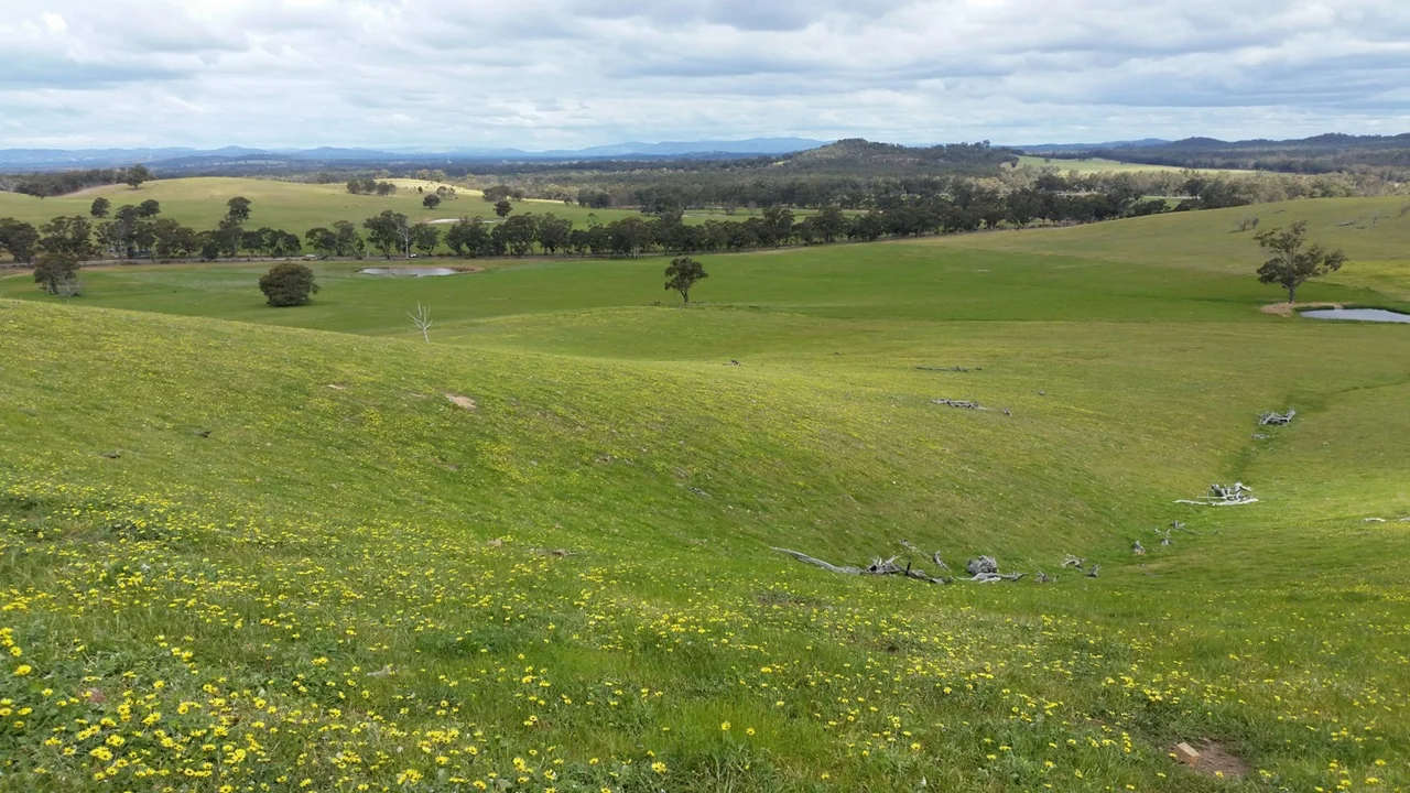 Additional image 4 of 78 Cherry Tree Road, Nagambie VIC 3608