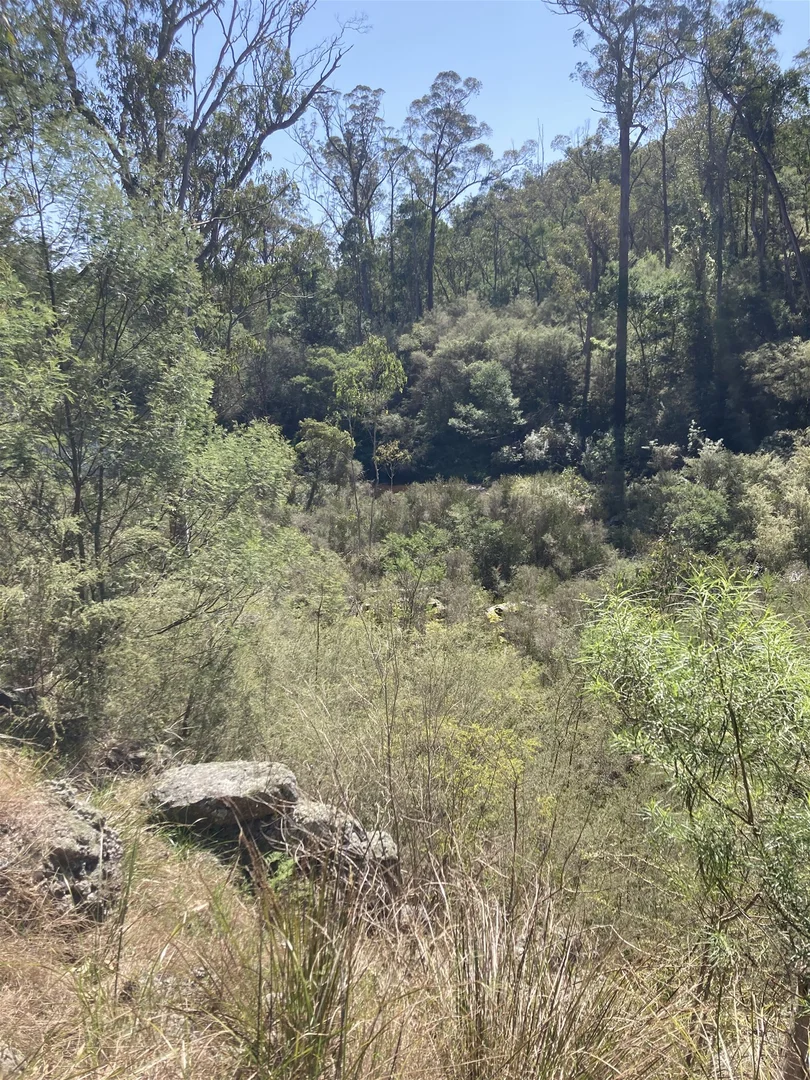 Additional image 7 of 138 Elliot Road, Valencia Creek VIC 3860