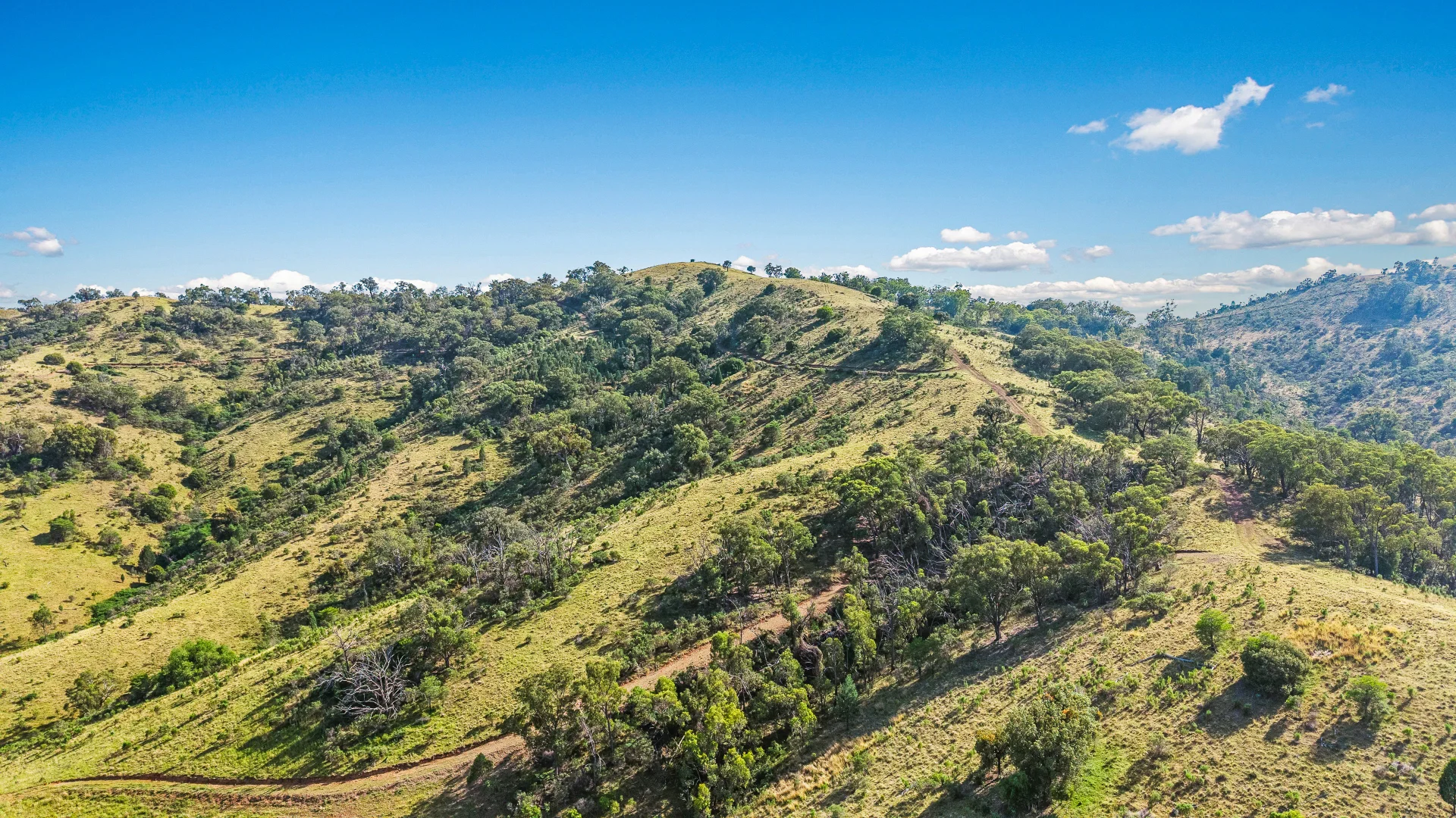 Additional image 8 of "Upper Forest View" 562 Wisemans Arm Road, Attunga NSW 2345