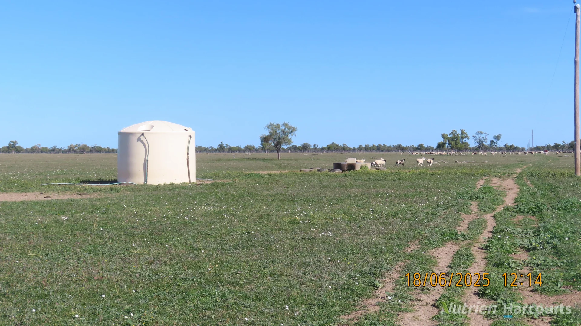 Additional image 4 of * Springvale, Walgett NSW 2832