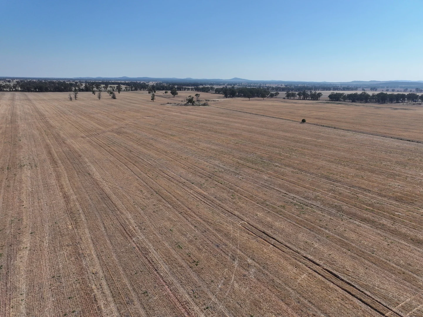 Additional image 13 of 'Wattlevale' 875 Schmidts Lane, Gidginbung NSW 2666