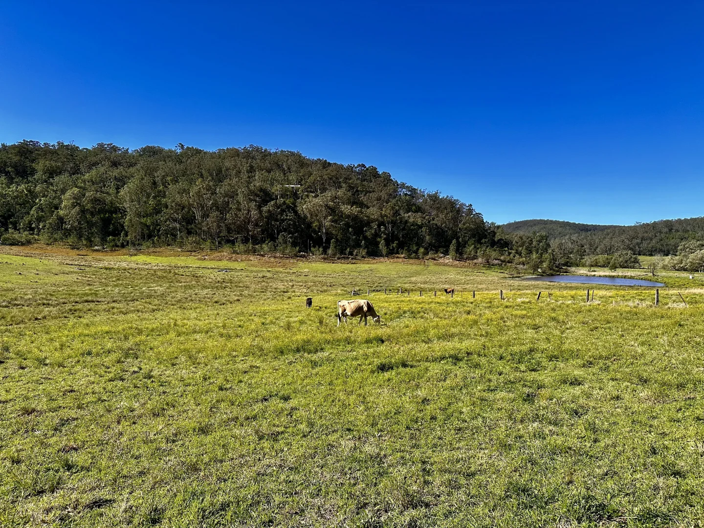 Additional image 9 of 3300 Great North Road, Wollombi NSW 2325