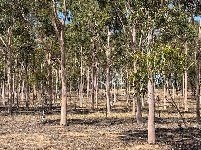 Additional image 2 of 23A & 24B Canfields Road, Glenalbyn VIC 3517