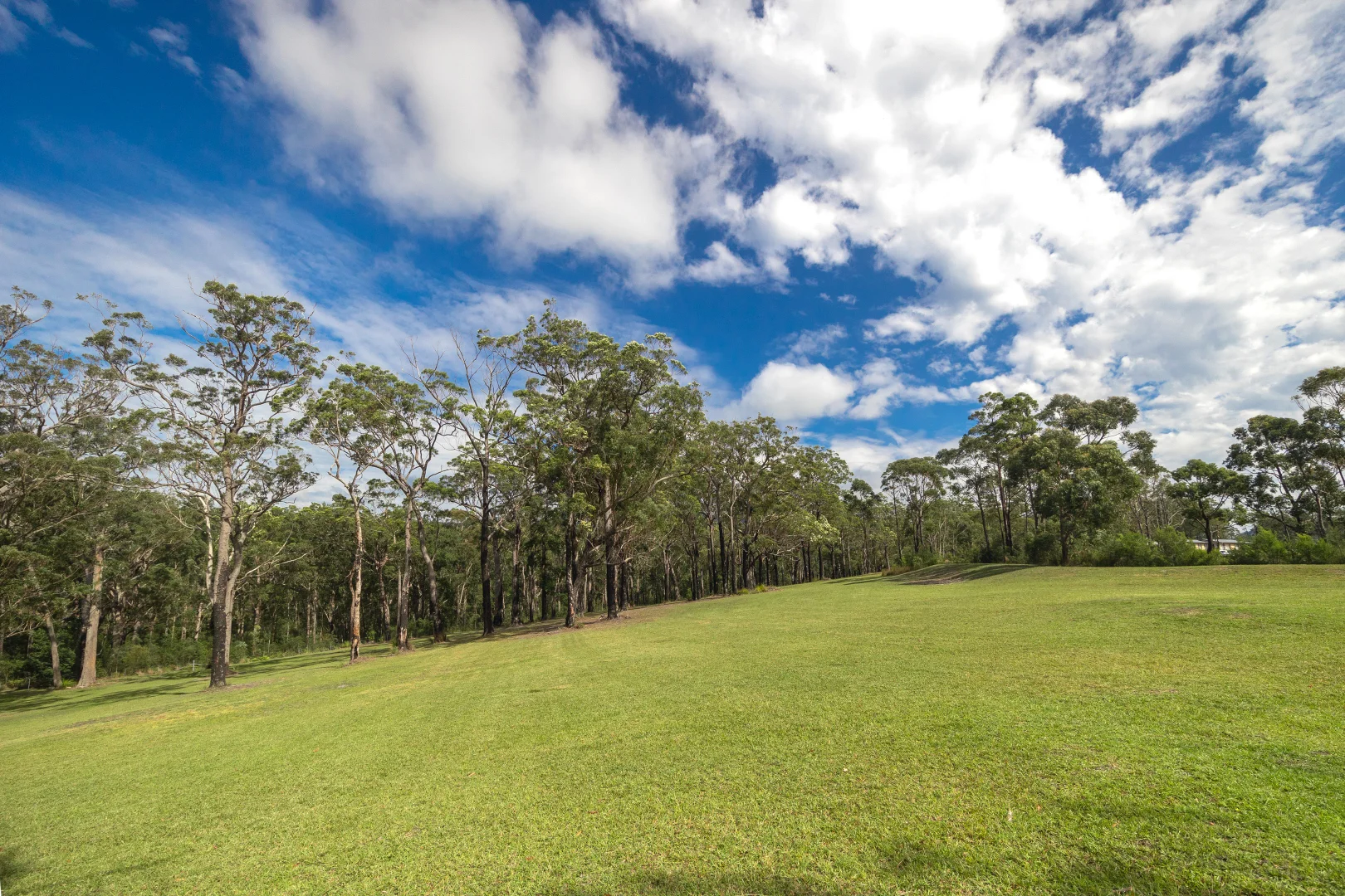 Additional image 23 of Lot 3, 315C Little Forest Road, Little Forest NSW 2538